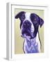 Pit Bull - David-Dawgart-Framed Giclee Print