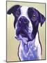 Pit Bull - David-Dawgart-Mounted Giclee Print