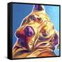 Pit Bull - Dozer-Dawgart-Framed Stretched Canvas