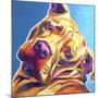 Pit Bull - Dozer-Dawgart-Mounted Giclee Print