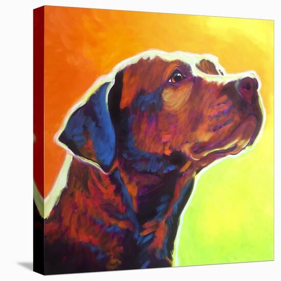 Pit Bull - Fuji-Dawgart-Stretched Canvas