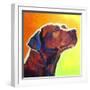 Pit Bull - Fuji-Dawgart-Framed Giclee Print