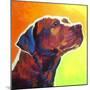 Pit Bull - Fuji-Dawgart-Mounted Giclee Print