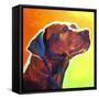 Pit Bull - Fuji-Dawgart-Framed Stretched Canvas