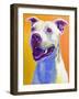 Pit Bull - Honey-Dawgart-Framed Giclee Print