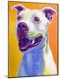 Pit Bull - Honey-Dawgart-Mounted Giclee Print