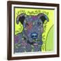 Pit Bull I-Denny Driver-Framed Giclee Print