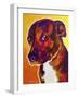 Pit Bull - Luna-Dawgart-Framed Giclee Print