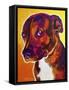 Pit Bull - Luna-Dawgart-Framed Stretched Canvas