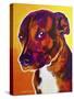 Pit Bull - Luna-Dawgart-Stretched Canvas