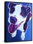 Pit Bull - Marchant-Dawgart-Framed Stretched Canvas