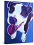 Pit Bull - Marchant-Dawgart-Stretched Canvas