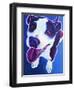 Pit Bull - Marchant-Dawgart-Framed Giclee Print