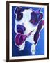 Pit Bull - Marchant-Dawgart-Framed Giclee Print