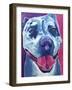 Pit Bull - Merle-Dawgart-Framed Giclee Print