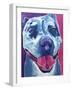 Pit Bull - Merle-Dawgart-Framed Giclee Print