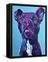 Pit Bull - Neko-Dawgart-Framed Stretched Canvas