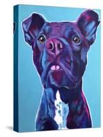 Pit Bull - Neko-Dawgart-Stretched Canvas