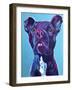 Pit Bull - Neko-Dawgart-Framed Giclee Print