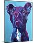 Pit Bull - Neko-Dawgart-Mounted Giclee Print