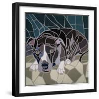 Pit Bull Portrait Ii-Jonathan Mandell-Framed Giclee Print