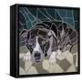 Pit Bull Portrait Ii-Jonathan Mandell-Framed Stretched Canvas