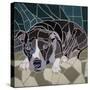 Pit Bull Portrait Ii-Jonathan Mandell-Stretched Canvas