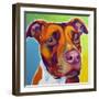 Pit Bull - Red-Dawgart-Framed Giclee Print