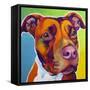 Pit Bull - Red-Dawgart-Framed Stretched Canvas