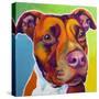 Pit Bull - Red-Dawgart-Stretched Canvas