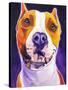 Pit Bull - Rexy-Dawgart-Stretched Canvas