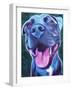 Pit Bull - Sky Blue-Dawgart-Framed Giclee Print