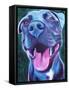 Pit Bull - Sky Blue-Dawgart-Framed Stretched Canvas