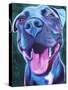 Pit Bull - Sky Blue-Dawgart-Stretched Canvas