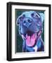 Pit Bull - Sky Blue-Dawgart-Framed Giclee Print