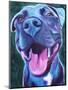 Pit Bull - Sky Blue-Dawgart-Mounted Giclee Print