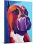 Pit Bull - Tasty-Dawgart-Mounted Giclee Print