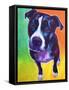 Pit Bull - Truman-Dawgart-Framed Stretched Canvas