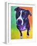 Pit Bull - Truman-Dawgart-Framed Giclee Print