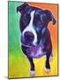 Pit Bull - Truman-Dawgart-Mounted Giclee Print