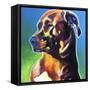 Pit Bull - Twyla-Dawgart-Framed Stretched Canvas