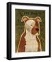 Pit Bull-John Golden-Framed Giclee Print