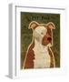 Pit Bull-John Golden-Framed Giclee Print