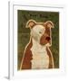 Pit Bull-John Golden-Framed Giclee Print