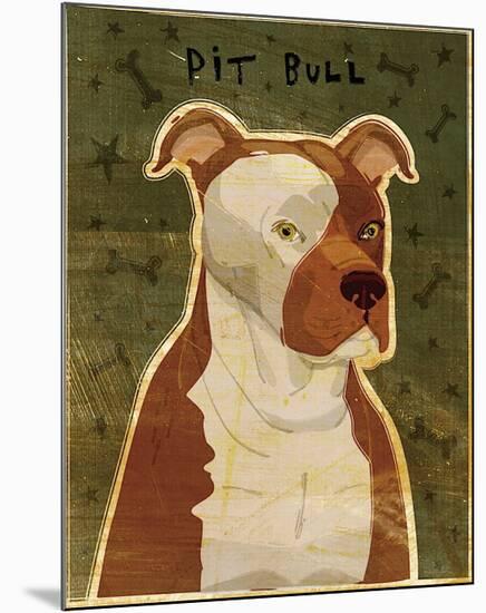 Pit Bull-John Golden-Mounted Giclee Print