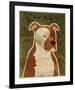 Pit Bull-John Golden-Framed Giclee Print