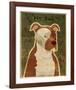 Pit Bull-John W^ Golden-Framed Art Print