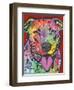 Pit Bull-Dean Russo-Framed Premium Giclee Print