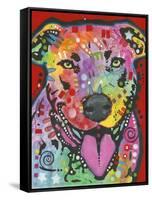 Pit Bull-Dean Russo-Framed Stretched Canvas