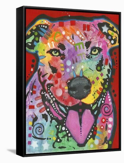 Pit Bull-Dean Russo-Framed Stretched Canvas